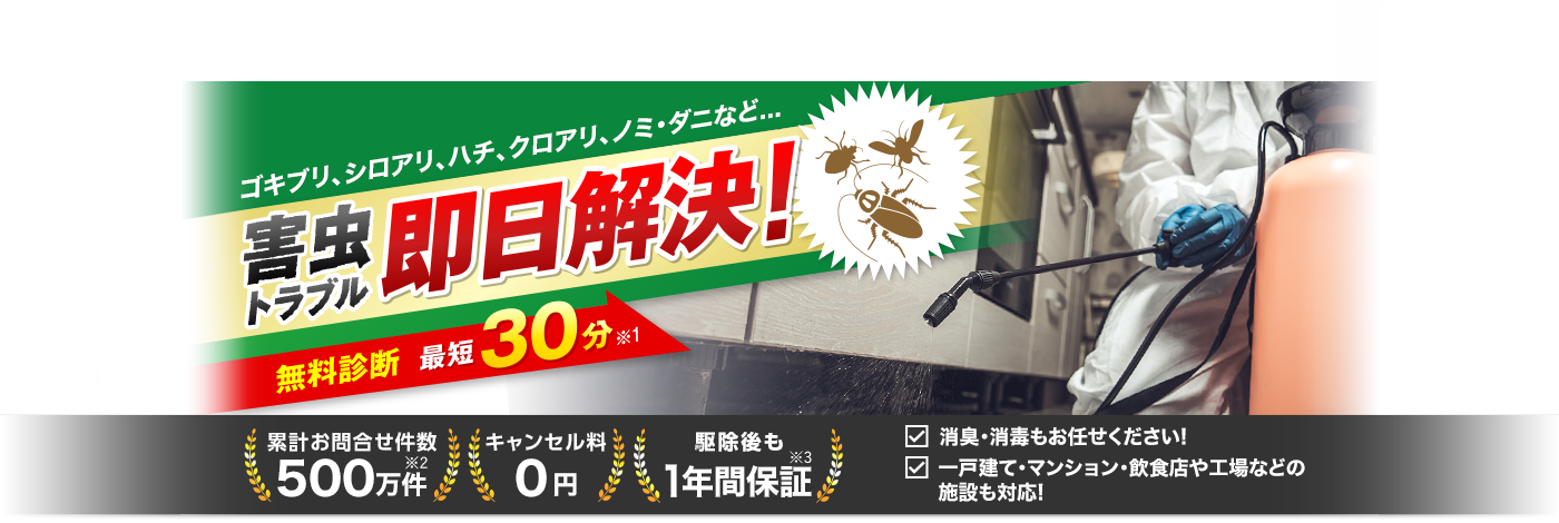 害虫駆除110番の公式サイト掲載ビジュアル